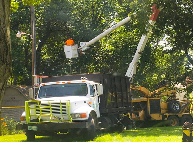 Kelley Tree Services crew at work in Tulsa