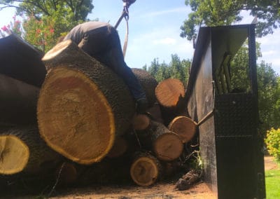 Tulsa's #1 Tree Service & Removal Company